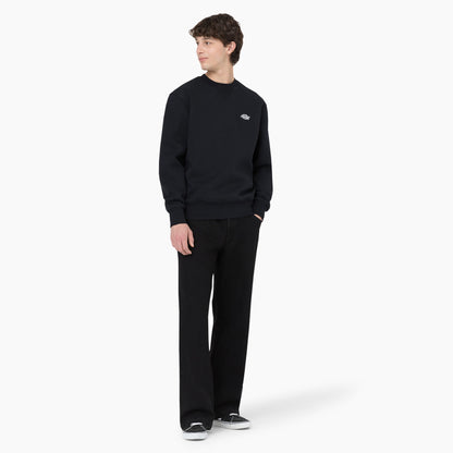 Skateboarding Wingville Loose Fit Jeans - Dickies Men