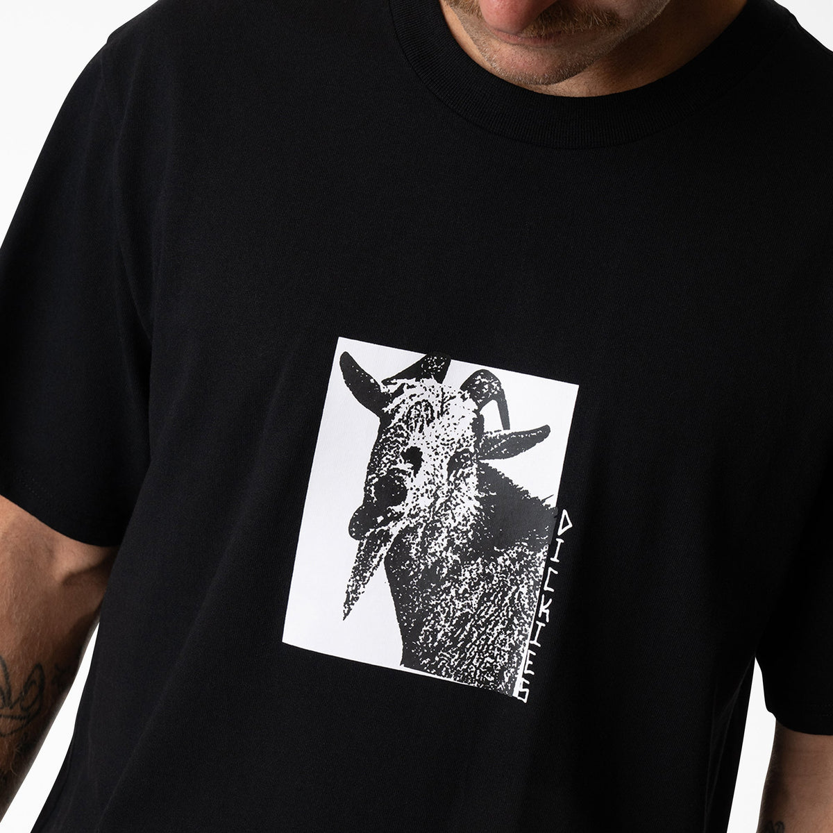 Mike Anderson Graphic T-Shirt - Dickies Men