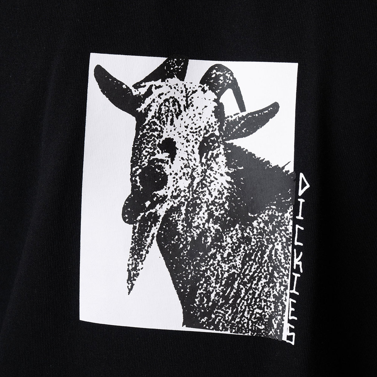 Mike Anderson Graphic T-Shirt - Dickies Men