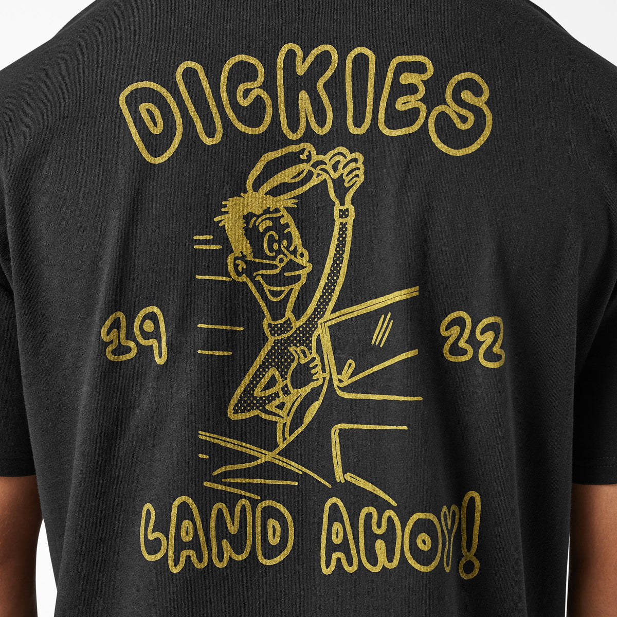 Decaturville T-Shirt - Dickies Men